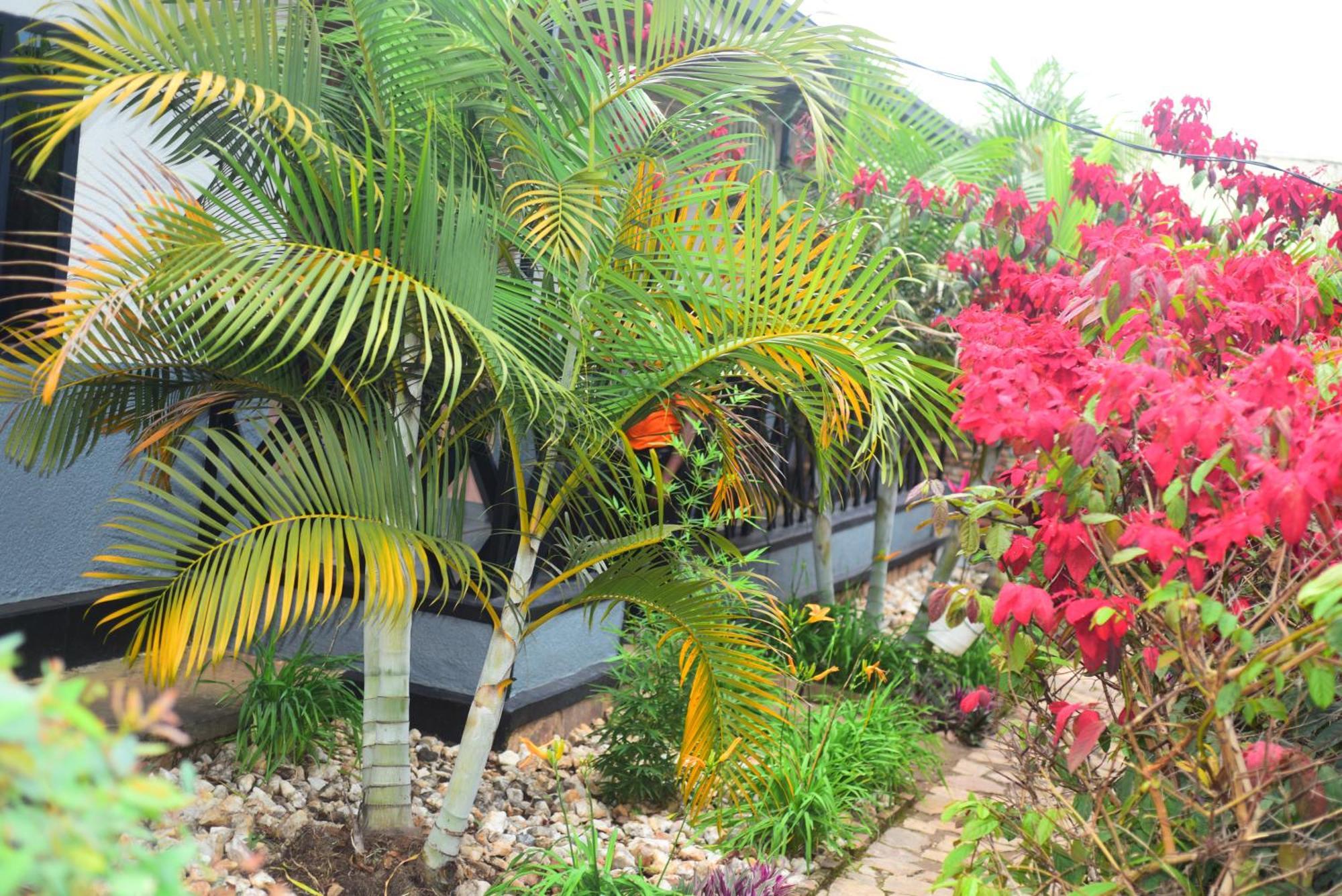 Akagera Neighbors Bed and Breakfast Kabarondo Buitenkant foto