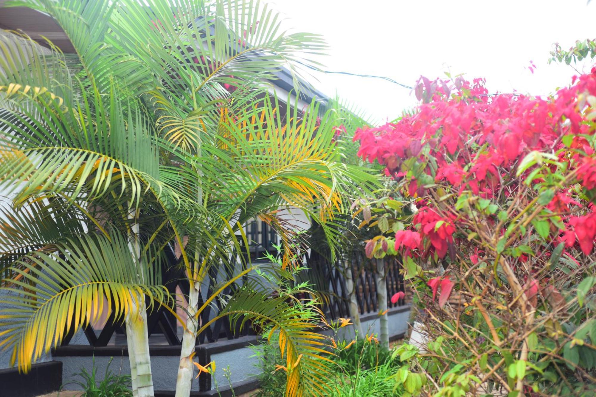 Akagera Neighbors Bed and Breakfast Kabarondo Buitenkant foto